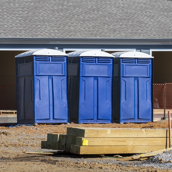 are there different sizes of porta potties available for rent in Blue Mountain Mississippi